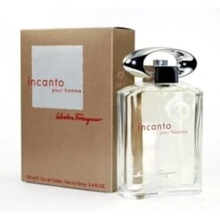 Salvatore Ferragamo Incanto Homme Eau De Toilette 100 Ml