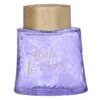 Lolita Lempicka Au Masculin Eau De Toilette Spray 100 Ml