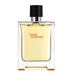 Hermès Terre D'Hermes Edt Vapo Uomo 100 Ml